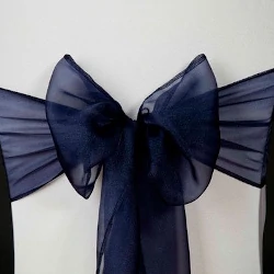 Close-up of a navy blue organze bow