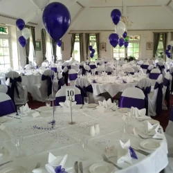 Wedding reception with coordinating balloons and sashes