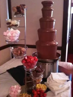 The chocolate fountain