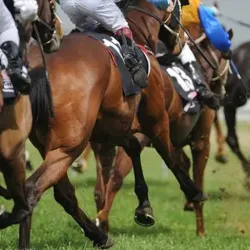 Horses racing around the track